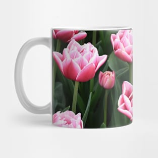 Fancy Red and White Tulips in Mount Vernon Mug